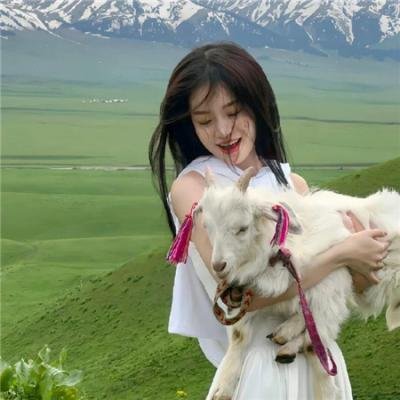 武驰人生2之飓风营救